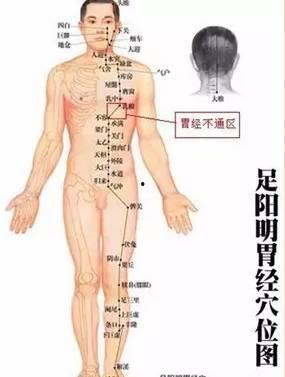 经络推拿视频,揭秘传统养生之道