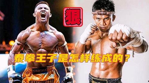 泰拳王播求比赛视频,激战瞬间回顾