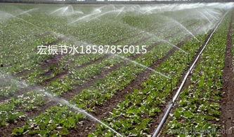 微滴灌视频,高效农业灌溉的革新之路